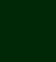 KPMF VWS-1 (2D) K88771 pine green gloss ...